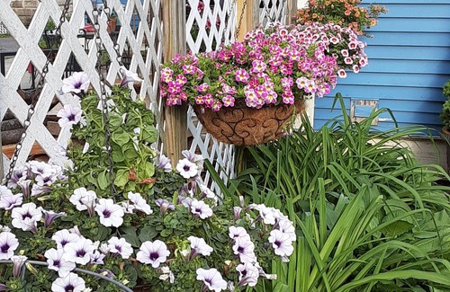 Beverly Maison | Salem/Beverly Barn by the Harbor, perfect summer spot! August and Sept openings!