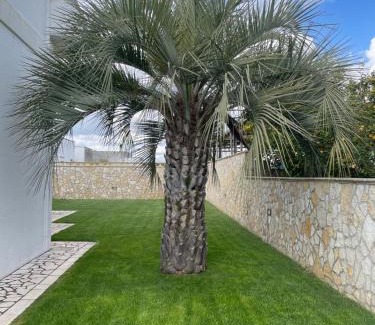 Palmariggi Maison | Salento nel cuore