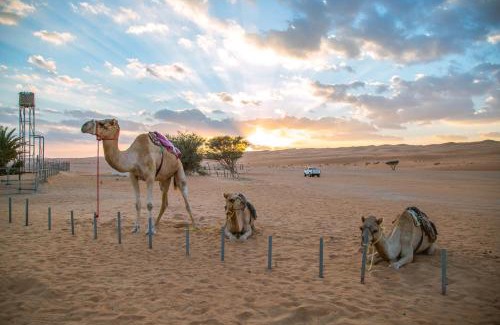 Bidiya Autre | Sama al Wasil Desert Camp