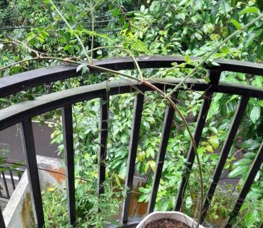 Athurugiriya Appartement | Samanvila