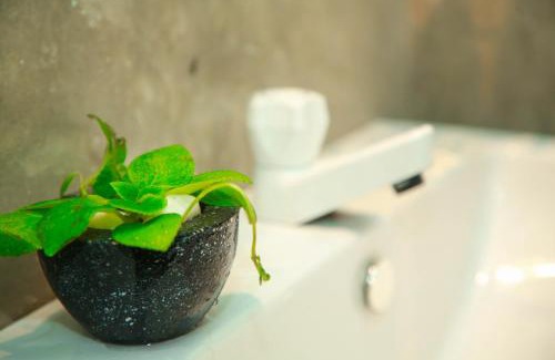Midigama Maison | Samee Dream Guest