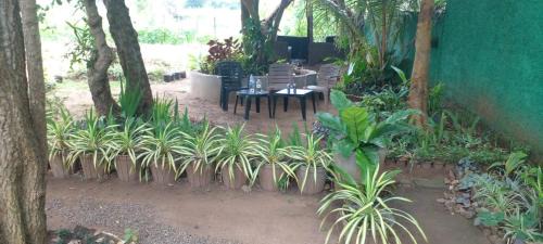 Habarana Hôtel | Samudra Resort