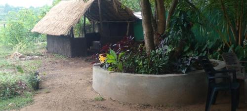 Habarana Hôtel | Samudra Resort
