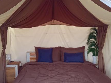Kedisan Autre | Samuh camp