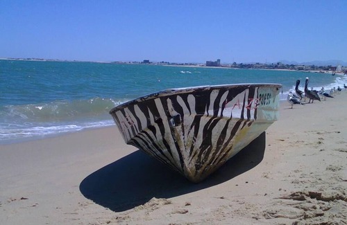 Primera Seccion Cabine | San Felipe Studio 5 FREE WIFI AND CABLE TV