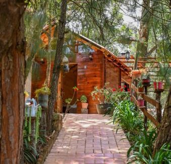 San Jose del Pacifico Appartement | San José del Pacífico- Cabañas Camino al Cielo 3