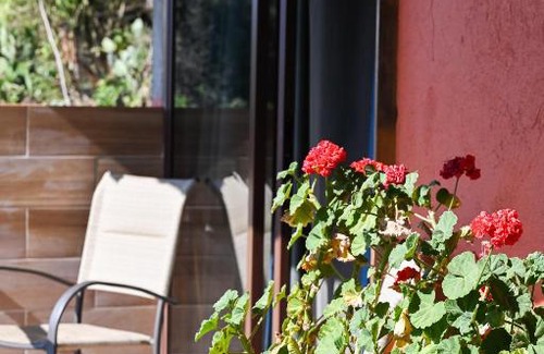 San Jose del Pacifico Appartement | San José del Pacífico- Cabañas Camino al Cielo 5