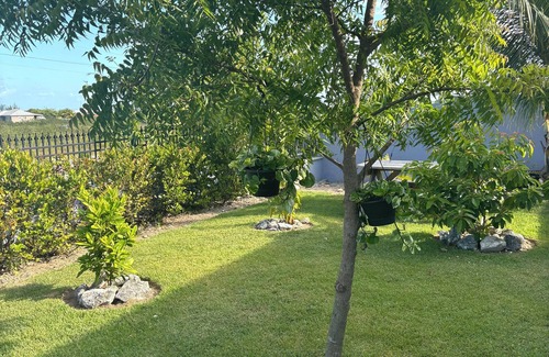 Marsh Harbour Lit Et Petit-Déjeuner | SanAndros Airbnb