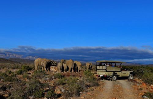Barrydale Cabine | Sanbona Wildlife Reserve