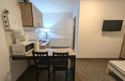 Tirgu Mures Appartement | Sandor Central Studio Apartment