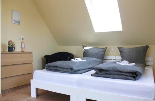 Dassow Maison | Sandregenpfeifer