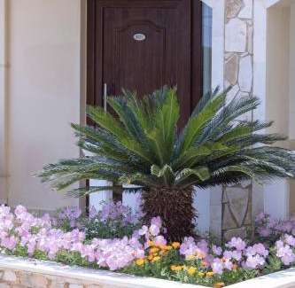 Kato Galatas Appartement | Sandy Suites