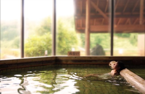 Ichinoseki Hôtel | Sannouzan Onsen Zuisenkyo