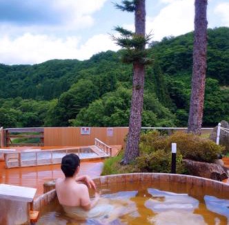 Ichinoseki Hôtel | Sannouzan Onsen Zuisenkyo
