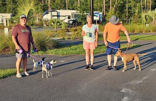 Gainesville Autre | Santa Fe Palms RV Resort