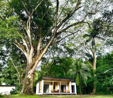Manzanillo Maison | Santa Teresa Manzanillo Walk to Beach, New Home, Center of Tranquil Town