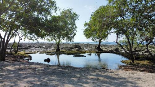 Manzanillo Maison | Santa Teresa Manzanillo Walk to Beach, New Home, Center of Tranquil Town