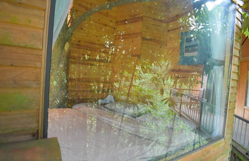 Sa Pa Cabine | Sapa Jungle