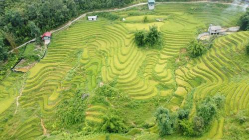 Sa Pa Maison | Sapa May Homestay