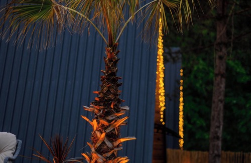 Serdivan Hôtel | Sapanca Pine Life