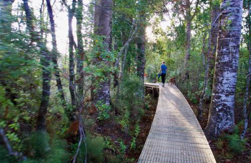 Katikati Station Balnéaire | Sapphire Springs Holiday Park and Thermal Pools