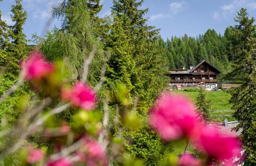 Berg im Drautal Hôtel | Sattleggers Alpenhof & Feriensternwarte