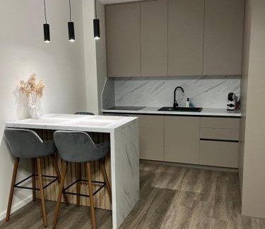 Klaipeda Appartement | Saules apartamentai, free parking
