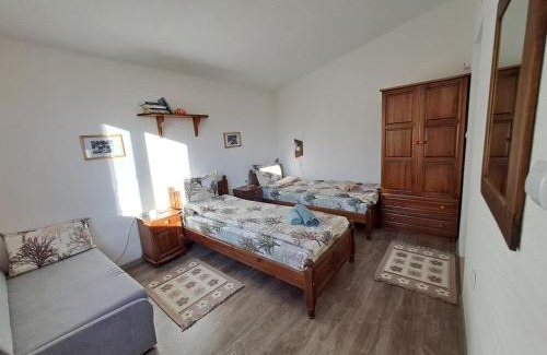 Davidkovo Maison | SavayaTribe