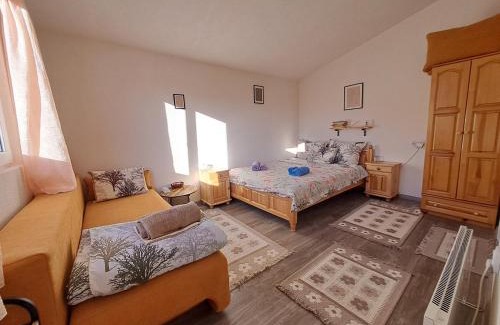 Davidkovo Maison | SavayaTribe