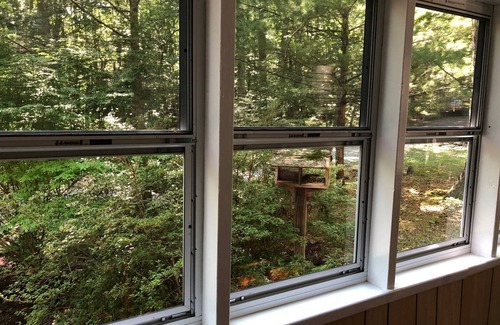 Cocolamus Cottage | Sawmill Lane Cottage: Family friendly spot in the woods at the base of Shade Mt