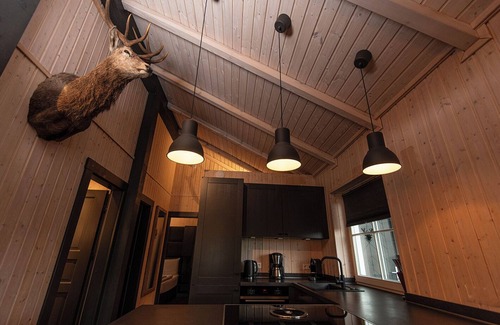 Kuestelberg Maison | Lodge scandinave avec bain à remous près de Winterberg