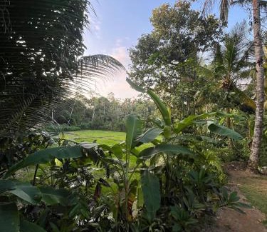 Ahangama Maison | Scenery Vibes - Ahangama