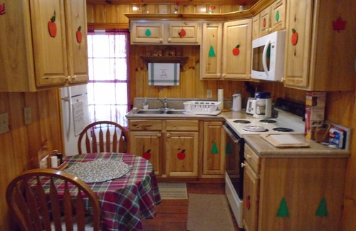 Marion Cabine | Scenic meublé une chambre cabine w / WIFI près de Hungry Mother State Park