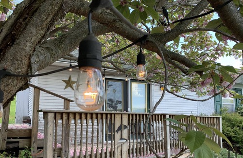 Harveys Lake Maison | Scenic cabin w/ lakeview & swim