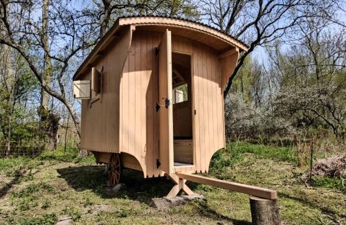 Gustow Autre | Schäferwagen auf dem Biogut-Saalkow