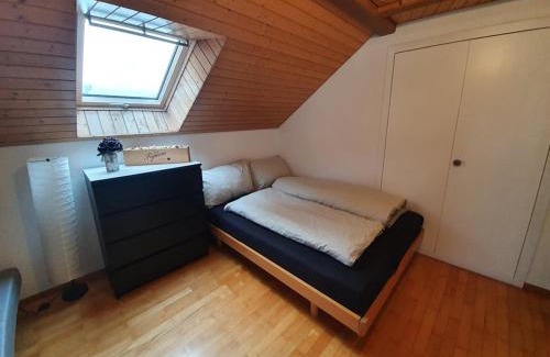 Menznau Appartement | Schöne 3 1/2 Zimmer Wohnung in der Zentralschweiz