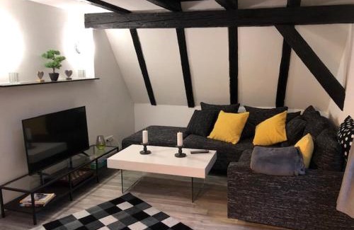 Mainz-Bingen Appartement | Schöne Ferienwohnung Altes Gebälk Fachwerkhaus