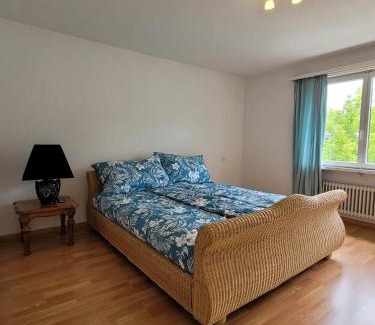Vaduz Appartement | Schöne grosse Attika-Wohnung im Zentrum von Vaduz inkl. Parkplatz