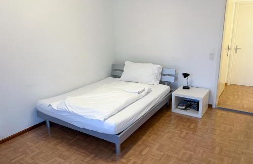 Vaduz Appartement | Schöne grosse Attika-Wohnung im Zentrum von Vaduz inkl. Parkplatz