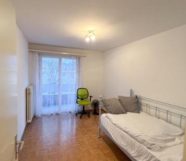 Vaduz Appartement | Schöne grosse Attika-Wohnung im Zentrum von Vaduz inkl. Parkplatz