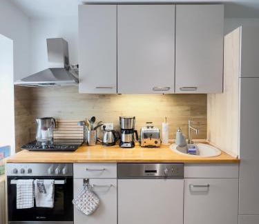 Bruhlervorstadt Appartement | Schöne helle & gemütliche Wohnung in Altstadtnähe