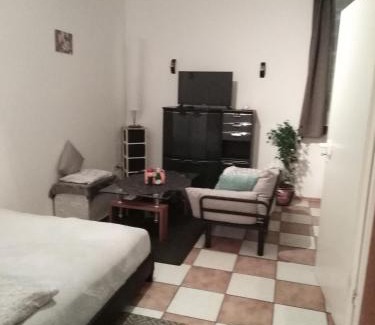 Fraulautern Appartement | Schöne Studiowohnung, renoviert, zentrale Lage