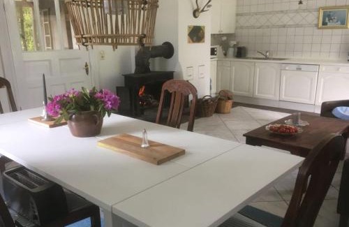 Trendelburg Appartement | Schöne Wohnung in Hessen mit Ruhebereich