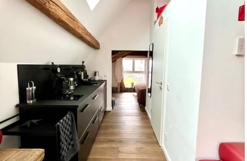 Mainz-Bingen Appartement | Schönster Blick auf Oppenheim