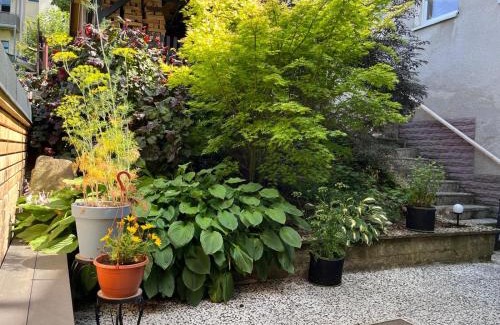Annaberg-Buchholz Appartement | Schicke Ferienwohnung in der Altstadt