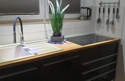 Goslar Appartement | Schicke Ferienwohnung mit Harzblick für 1-2 oder 1-4 Personen