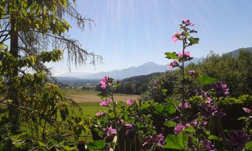 Bernau am Chiemsee Maison | Schusterhof Urlaub auf dem Bauernhof