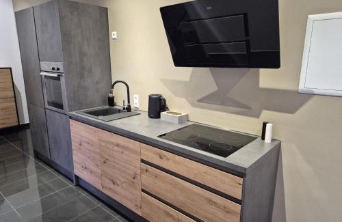 Oberdorla Appartement | Schwarzwald City Loft 2