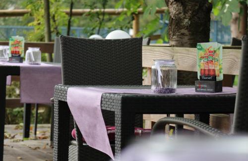 Gutach im Breisgau Hôtel | Schwarzwaldhotel Stollen