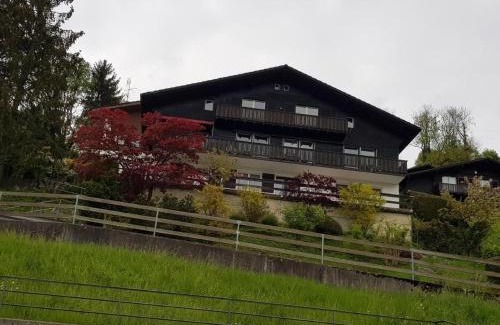 Tscheppach Appartement | Schweizer Haus